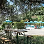 Anemona 1